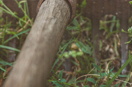 Garden watering can photo featuring garden, watering, and can preview 6