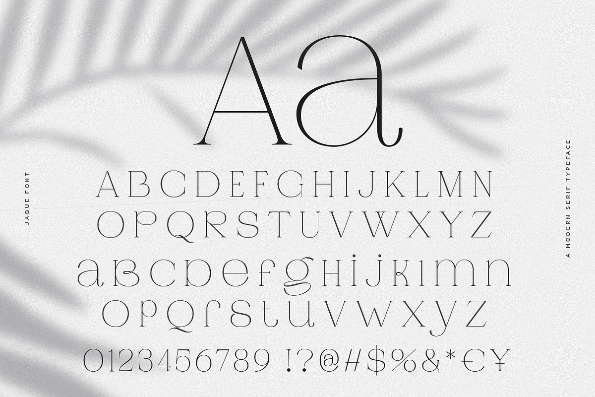 Jaque | Royal Serif, a Serif Font by Pentagonistudio (Photo 10 of 12)