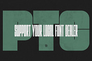 Brave Face, a Sans Serif Font by Chad Palmer Designs (Thumbnail 10 of 10)