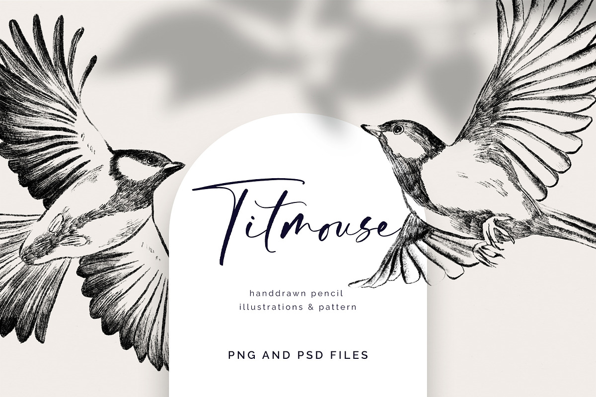 Titmous. Pencil illustrations, an Object Graphic by Tilling (Photo 1 of 5)