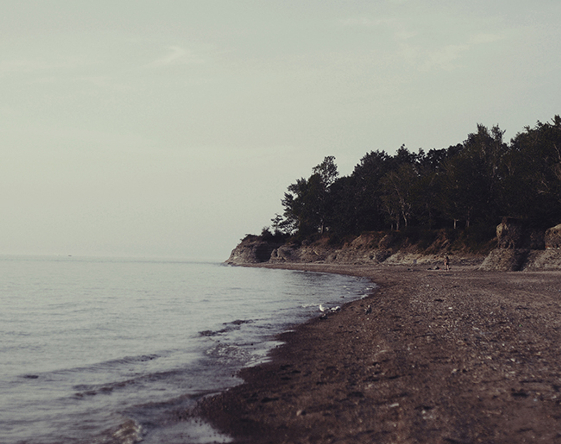 Desolate Beach - Stock Photography, a Nature Photo by Chelsea Victoria