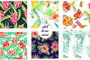 60% OFF TROPICAL SET, an Illustration by Elizaveta (Thumbnail 4 of 9)