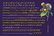 Varhen Karisha Handwritten Ink Font, a Script Font by Letterena Studios Script (Thumbnail 14 of 15)