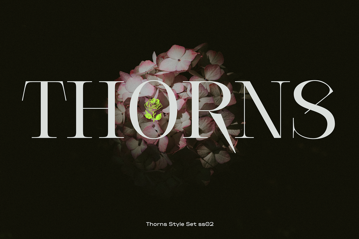 Cesso: Ligature Serif, a Serif Font by That That Creative (Photo 10 of 17)