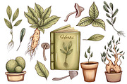 Herbal Magic clipart set, an Illustration by Mrs.Swan_Design (Thumbnail 2 of 7)