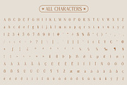 Revenika Rough, a Serif Font by Craft Supply Co. (Thumbnail 8 of 8)