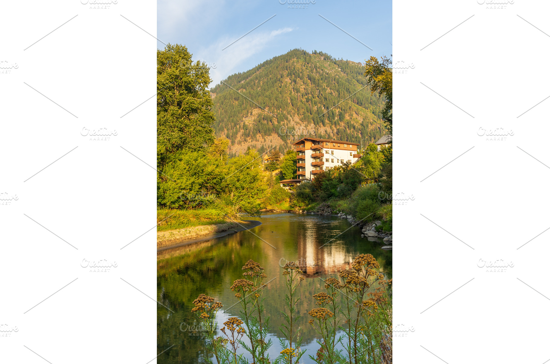 Alpine German apartment building, a Nature Photo by Backyard Stock