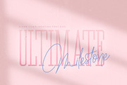 Ultimate Milestone Font Duo, a Script Font by Salt & Pepper Designs (Thumbnail 1 of 10)
