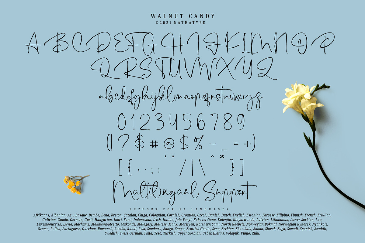 Walnut Candy, a Script Font by Nathatype (Photo 8 of 10)