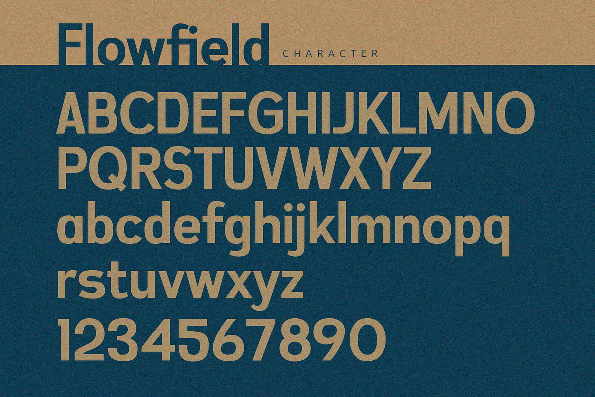 Flowfield - Sans Serif Font, a Sans Serif Font by Alpaprana (Photo 8 of 10)