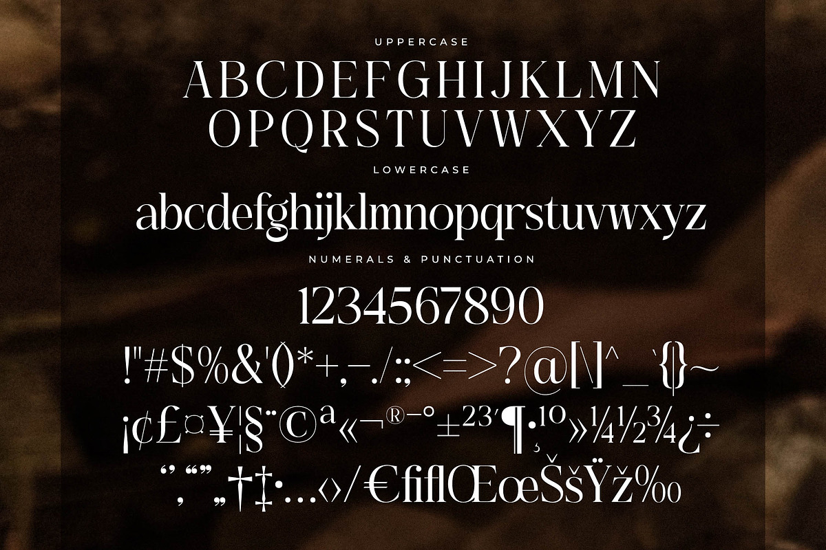 Asgaber Modern Font Serif, a Serif Font by Storytype Studio (Photo 13 of 15)