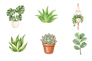 Watercolor House Plants Clipart, a Decorative Illustration by BerryPieArt (Thumbnail 4 of 4)
