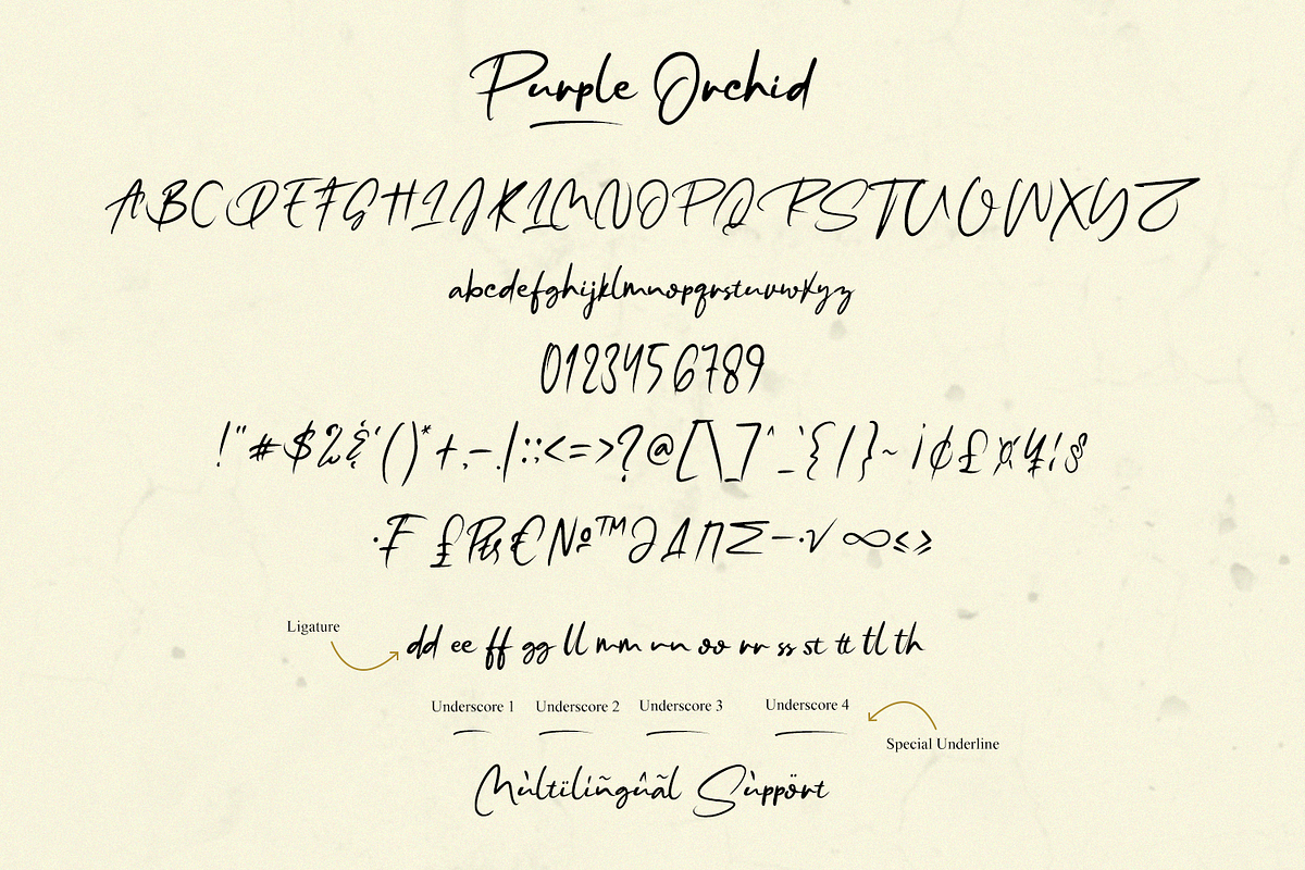 Purple Orchid // Fresh Typeface, a Script Font by GDcreative (Photo 10 of 10)