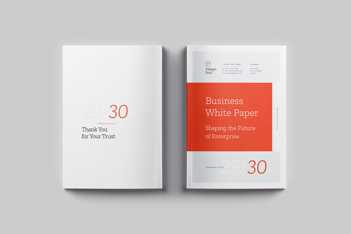 White Paper Template, a Brochure Template by Designsoul14 (Photo 13 of 13)