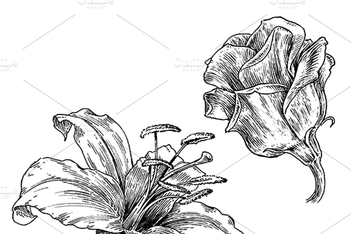 Ink flower set, a Decorative Illustration by RasterBird (Photo 6 of 10)