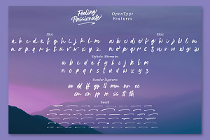 Feeling Passionate - Brush Font