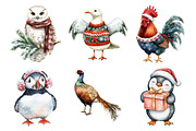 Christmas Birds Sublimation Clipart, an Illustration by Daily.Designs (Thumbnail 5 of 5)