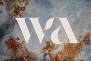 Raving Display Editorial Serif Font, a Serif Font by SilverStag Type Foundry (Thumbnail 6 of 30)