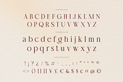 Chérié – Ligature Serif Family Font, a Serif Font by Krismagraph (Thumbnail 9 of 15)