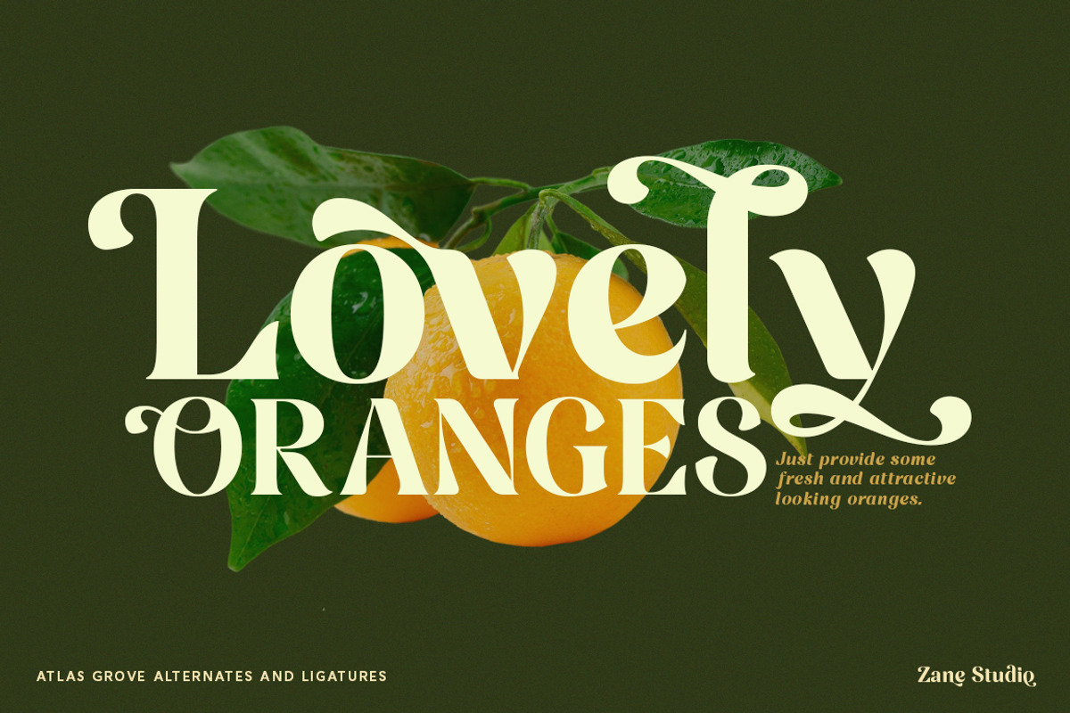 Atlas Grove-Alternates and Ligatures, a Serif Font by Zane Studio (Photo 11 of 22)