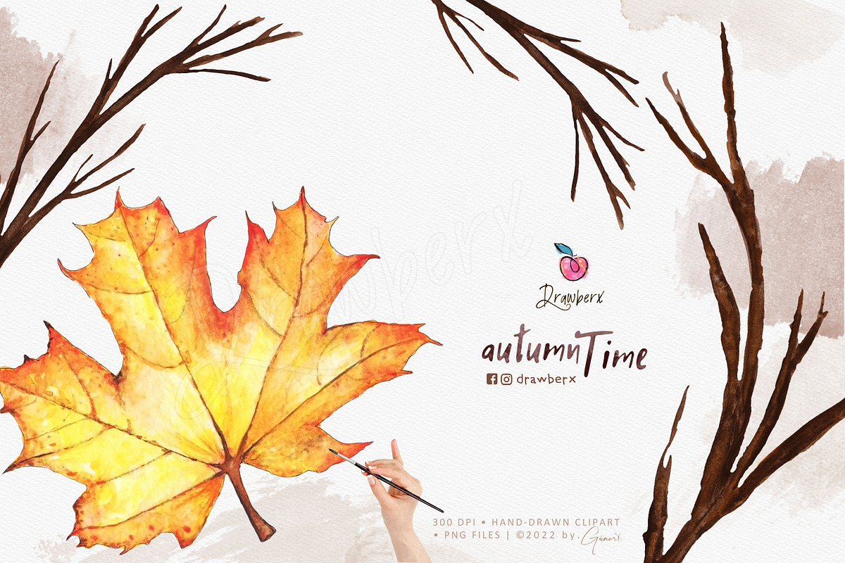 Watercolor Fall forest, squirrel 008, an Illustration by Drawberx (Photo 4 of 8)