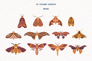 Mystic Moth Vector Collection