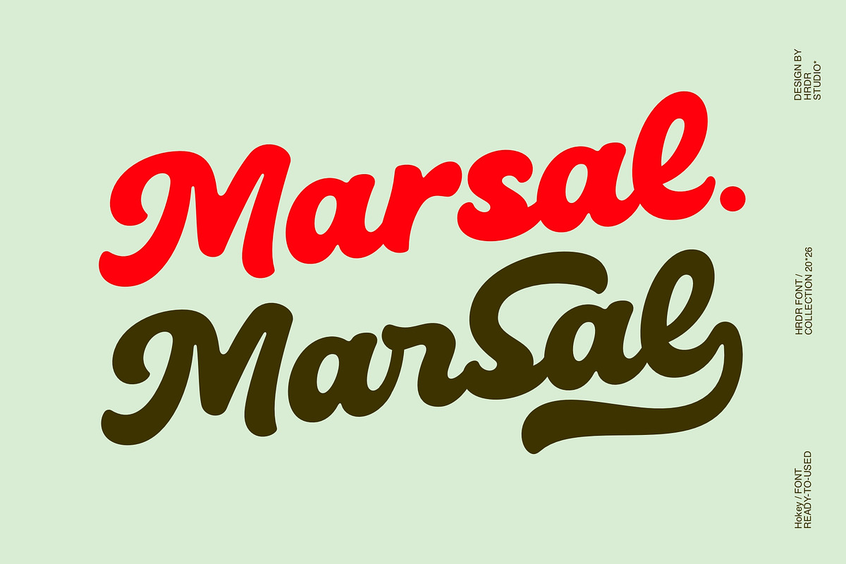 Mickey - Classy Script Font, a Script Font by HRDR (Photo 10 of 12)