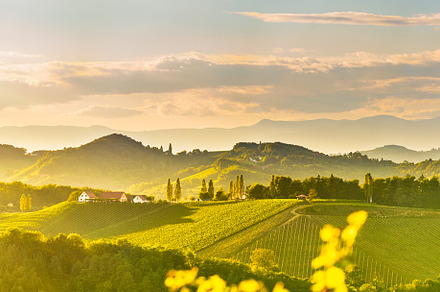 South styria vineyards landscape featuring austria, eckberg, and gamlitz, a Nature Photo by MadPhotos