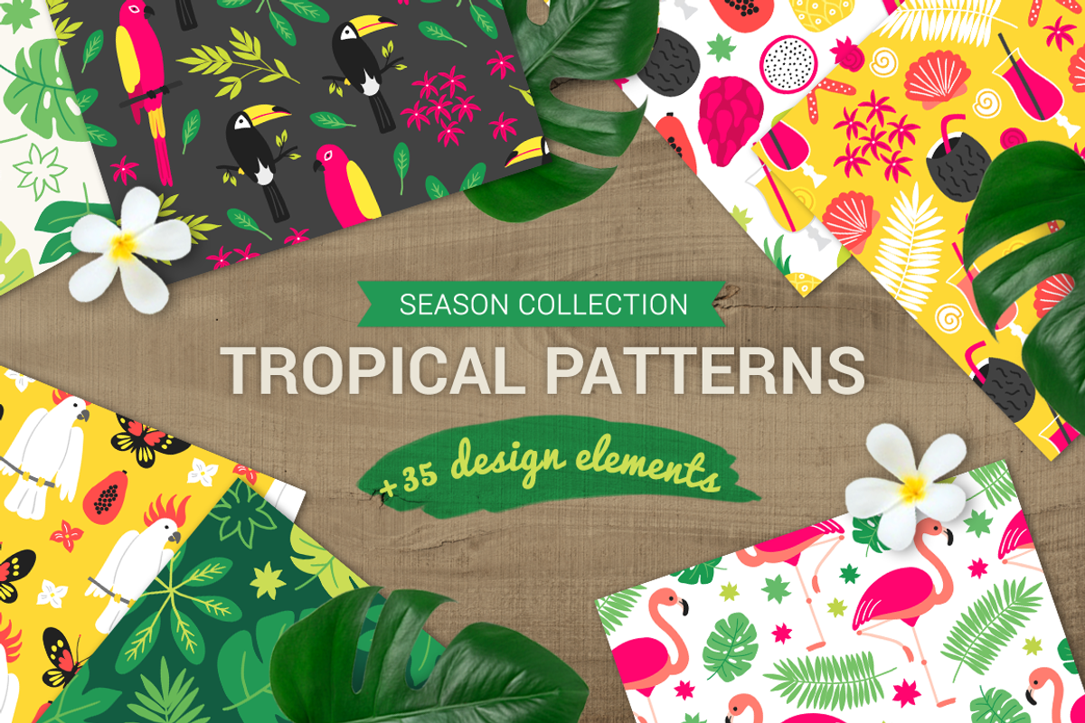 Tropical Patterns + Design Elements, a Pattern Graphic by miumiu