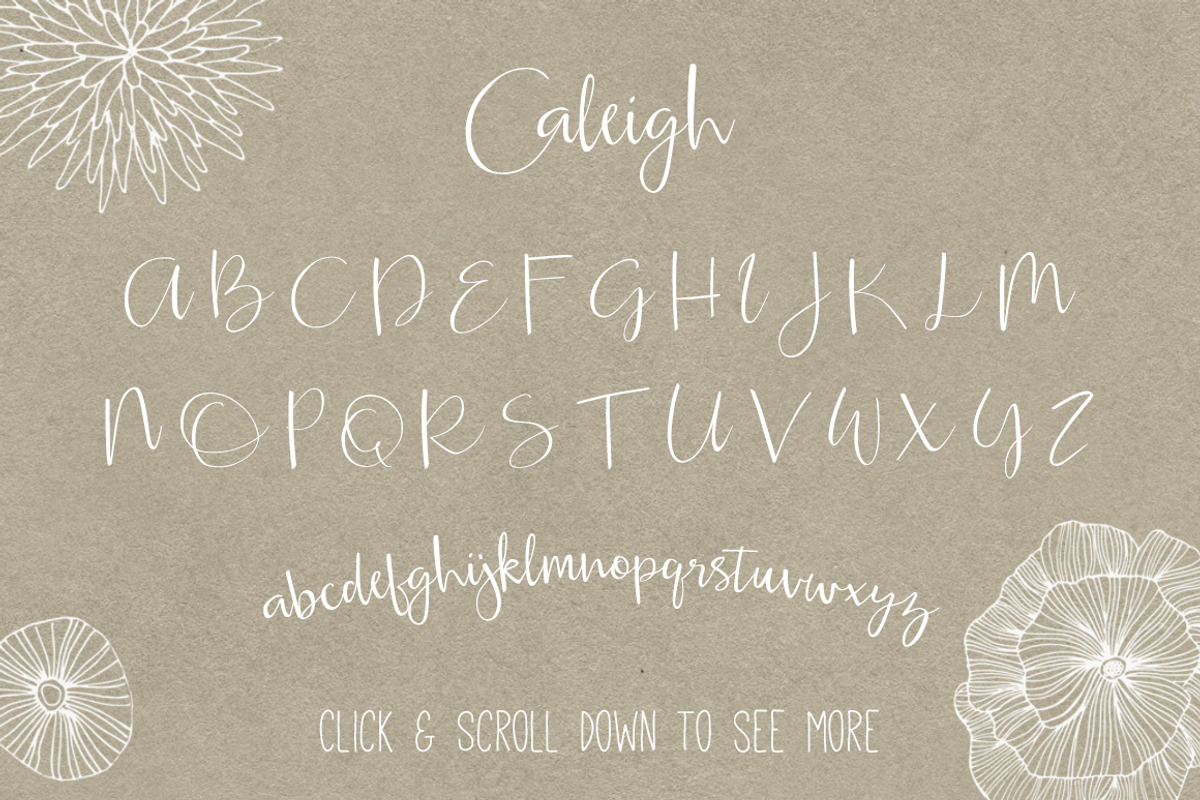 Caleigh Script Font with Bonus preview 2