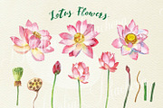 Lotus Flowers, an Illustration by Nataliapiache (Thumbnail 2 of 4)