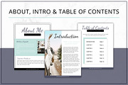 Lead Magnet Templates Canva InDesign, a Magazine Template by Lady Boss Studio (Thumbnail 6 of 10)