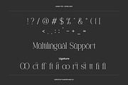 Lunar Type - Family Serif Font, a Serif Font by Flawless And Co (Thumbnail 10 of 10)