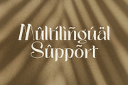 Palmer Sorjan - A Modern Serif, a Serif Font by Koplexs Studio (Thumbnail 11 of 11)
