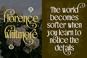 Quickiest - Elegant Serif Font, a Serif Font by Vampstudio (Thumbnail 3 of 12)