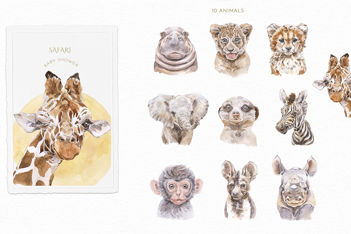 Animals Watercolor Clipart Bundle, an Animal Illustration by Cat In Colour (Photo 20 of 41)