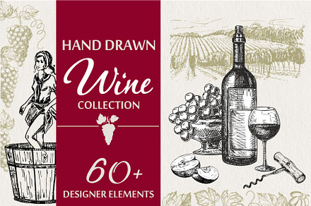 Wine & Grapes Illustations Set