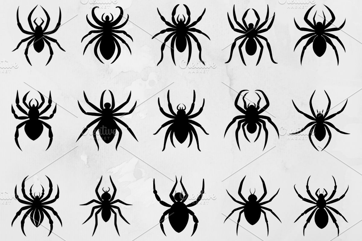 Spider Silhouette SVG, an Animal Illustration by newminddesign (Photo 1 of 5)