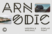 Arnodic - Display Font, a Sans Serif Font by Surplus Type Co (Thumbnail 7 of 8)