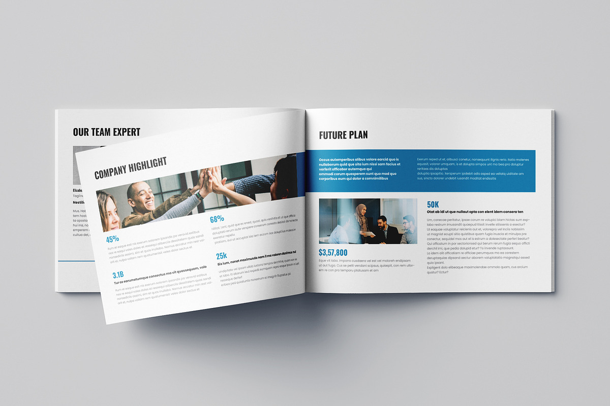 Business Plan Template Landscape, a Brochure Template by Pixelpick