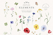 Wildflower Forest Floral Flower Set, a Decorative Illustration by Veris Studio (Thumbnail 19 of 19)