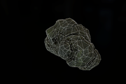 [Next-Gen] Forest Rock, an Environmental 3D Model by Game-Ready Studio (Thumbnail 5 of 5)