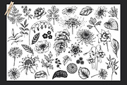 Day and Night. Vector Floral Set, a Pattern Graphic by Molly art (Thumbnail 2 of 14)