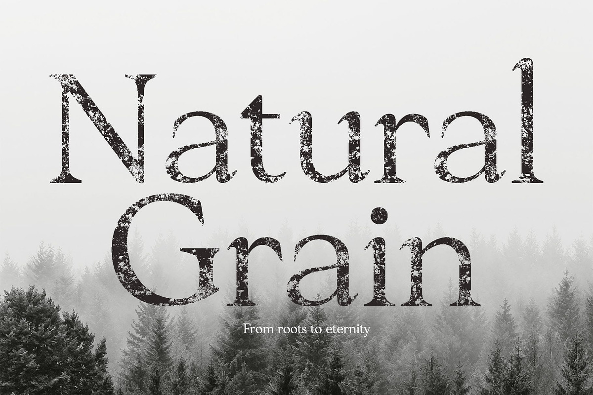 Ascella Stamp, a Serif Font by Craft Supply Co. (Photo 4 of 8)