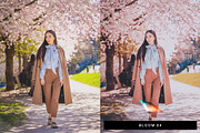 50 Sakura Lightroom Presets and LUTs, a Preset Add-On by SparkleStock (Thumbnail 2 of 10)