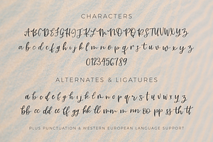 Riviera Mexicana Calligraphy Font