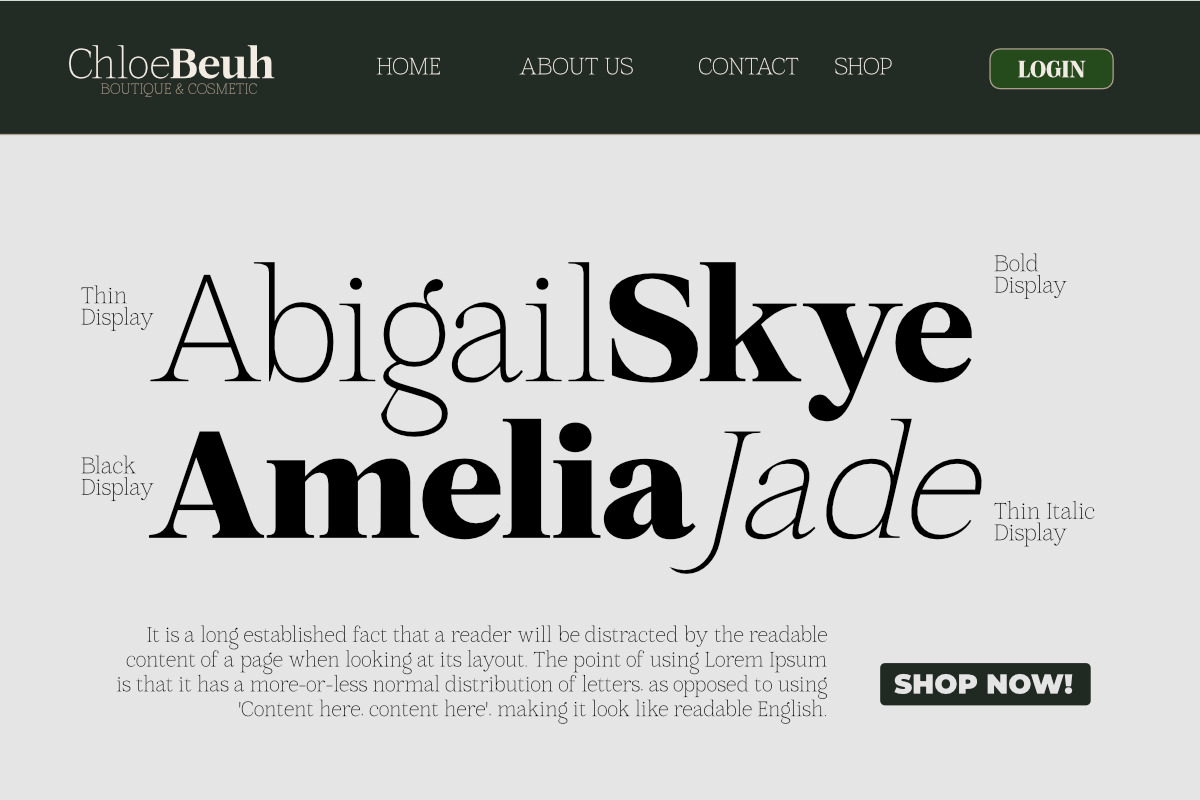 Mount Sagilite – Modern Serif Family, a Serif Font by Afkari Studio (Photo 8 of 12)