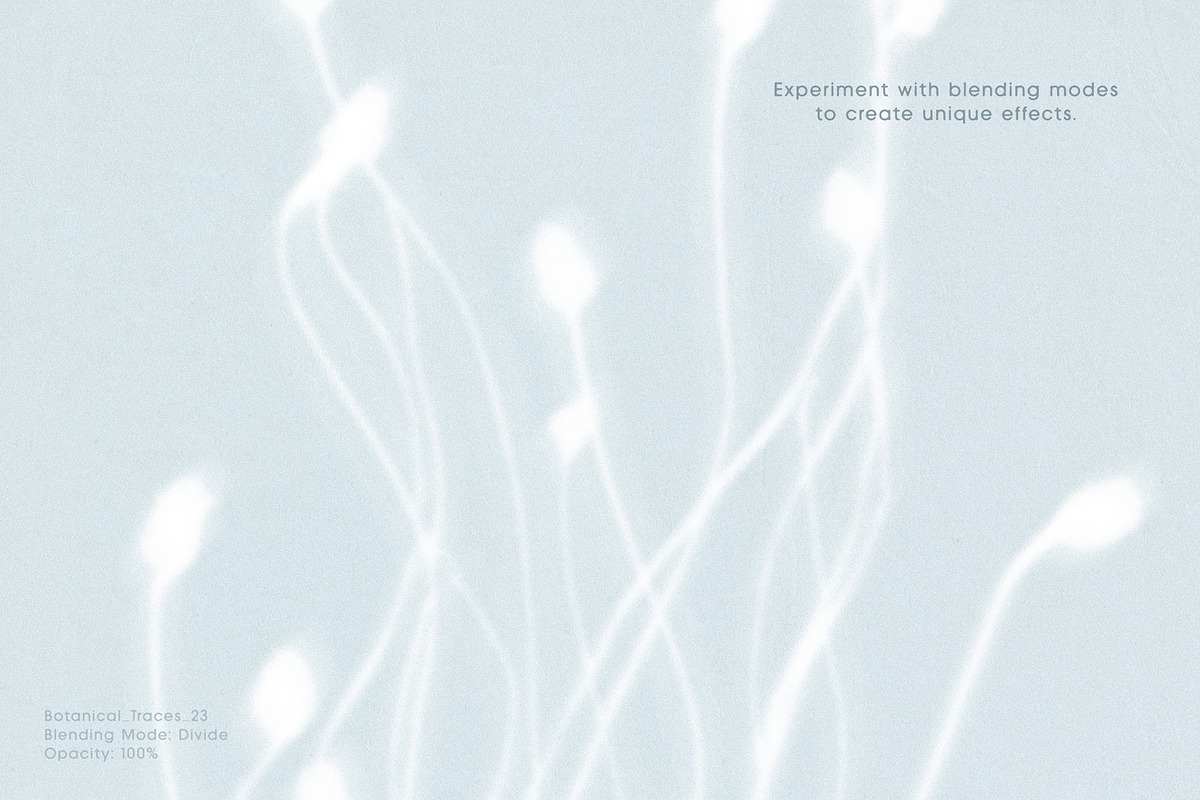 Botanical Traces: Blurred Floral PNG, an Object Graphic by Dina Mae (Photo 5 of 14)