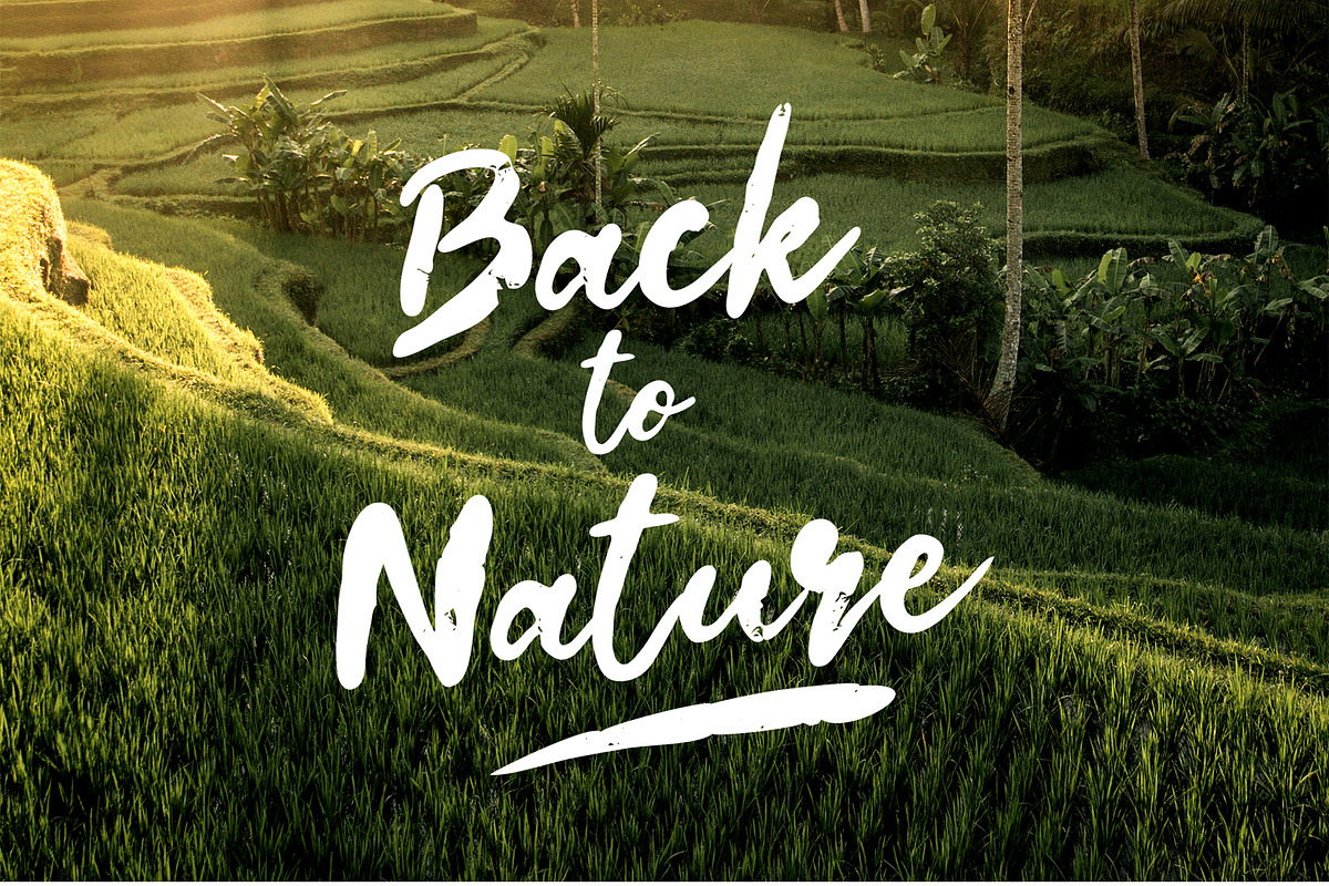 Amstel River - Brush Font, a Script Font by erlosDESIGN (Photo 8 of 11)
