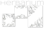 Herbarium. Pencil sketches, a Decorative Illustration by Love Watercolor Store (Thumbnail 6 of 8)